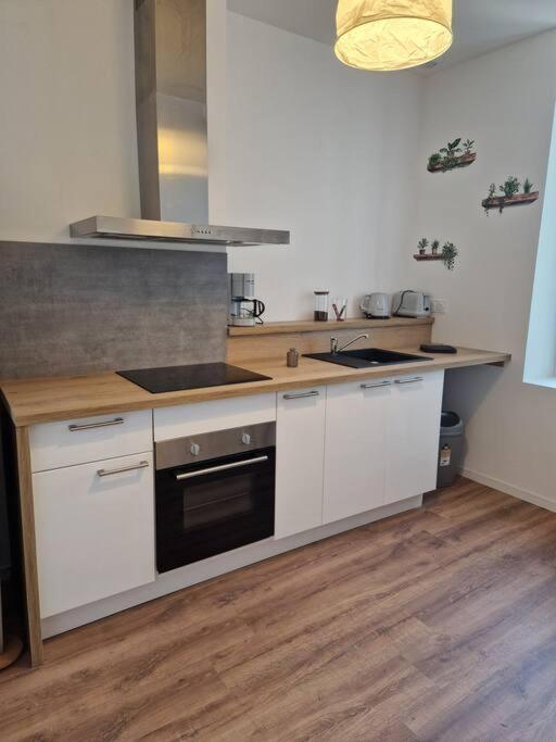 Le Carnot Apartment มองต์ซู-เลส์-มินส์ ภายนอก รูปภาพ